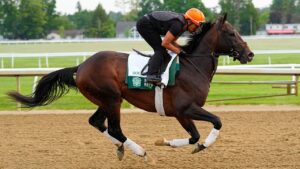 Sovereignty wins 157th Belmont Stakes, charging past Journalism down final stretch