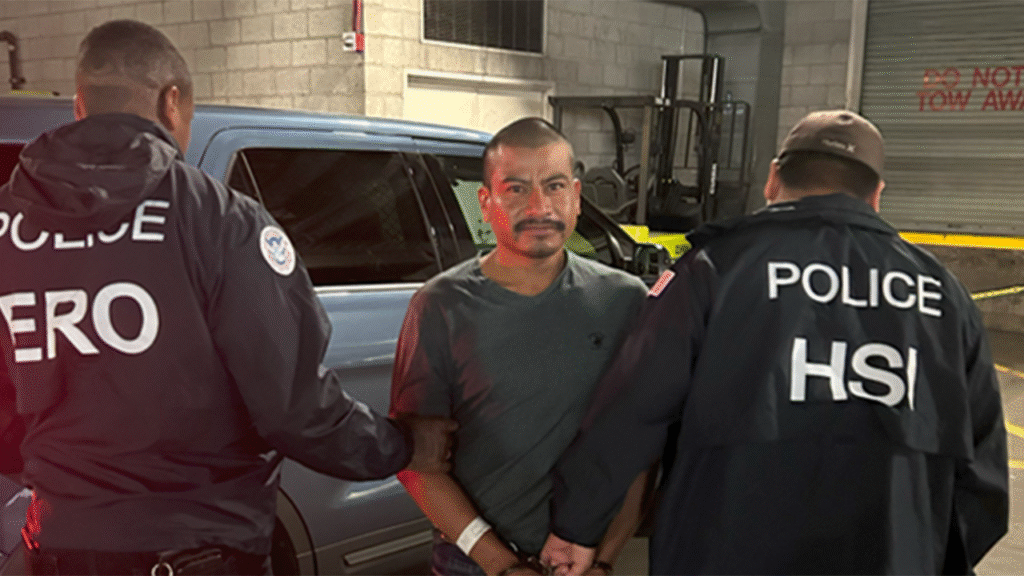California sheriff says Newsom ‘encouraged’ LA riots as ICE arrests violent illegal aliens