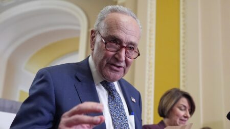 Schumer rips Supreme Court decision upholding state ban on transgender treatments for minors: ‘Awful’