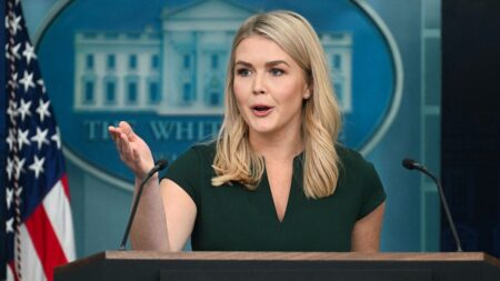 WH praises SCOTUS ruling upholding TN ban on transgender treatments: ‘Victory for America’s children’
