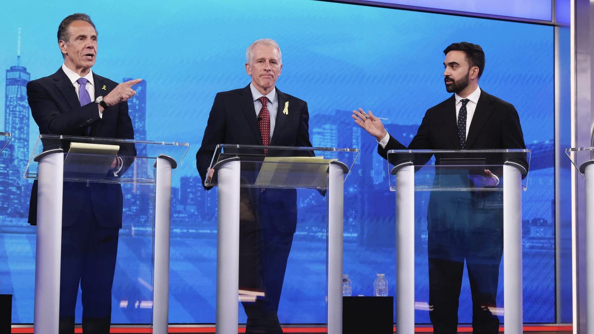 Cuomo, Tilson, and Mamdani on debate stage