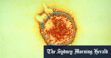 New pathogens related to Hendra, Nipah viruses discovered in China