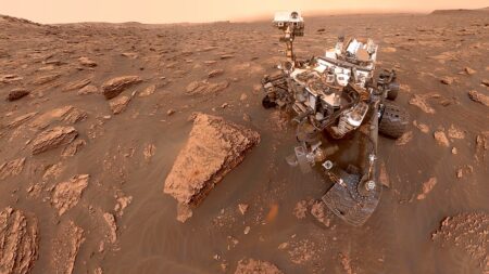 NASA’s Curiosity rover discovers unusual ‘boxwork’ patterns on Mars linked to ancient waterways