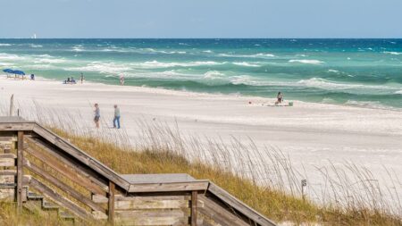 Police reveal contents of mysterious black packages that washed up on pristine Florida beach