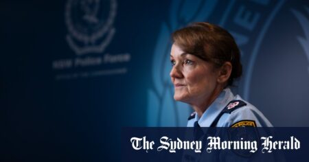 Outgoing Commissioner Karen Webb appointed domestic violence adviser to NSW government