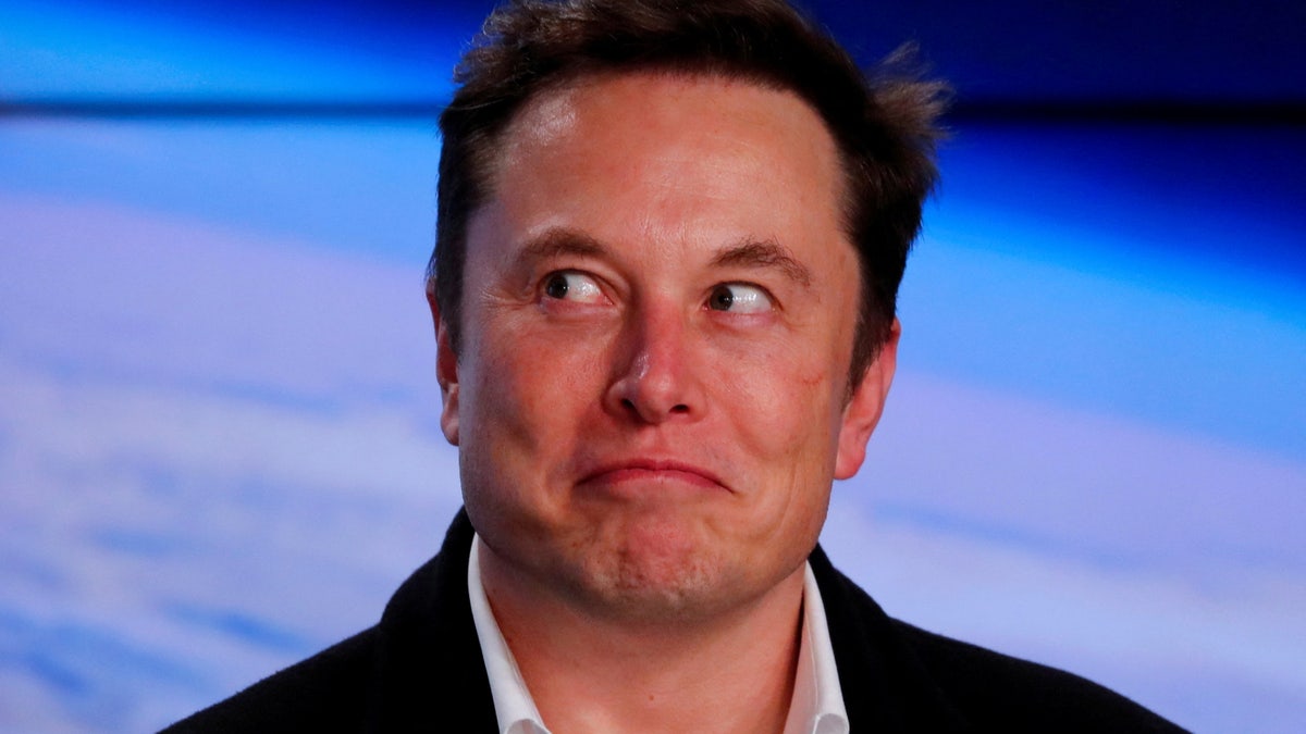 Tesla co-founder and CEO Elon Musk