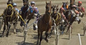 Child killed after being hit by starting gate at horse race in New Brunswick