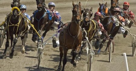 Child killed after being hit by starting gate at horse race in New Brunswick