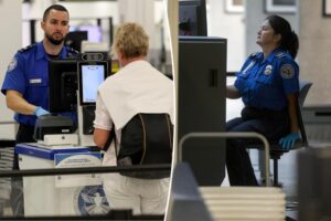 TSA scolds passenger for attempting to bring bizarre item on board plane: ‘Learning moment’