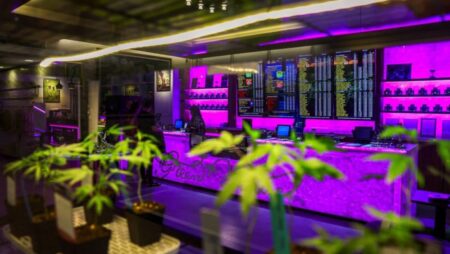 Thai cannabis stores fret as government moves to tighten rules on sales