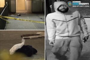 Crazed stalker allegedly stabs two good Samaritans walking NYC woman who thought she was being followed home