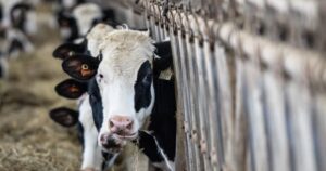 Bill to protect supply management in trade talks close to becoming law