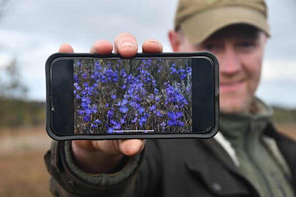 Ben Zeeman showing off some of the flowers that will bloom in the Woorndoo Common in spring. 