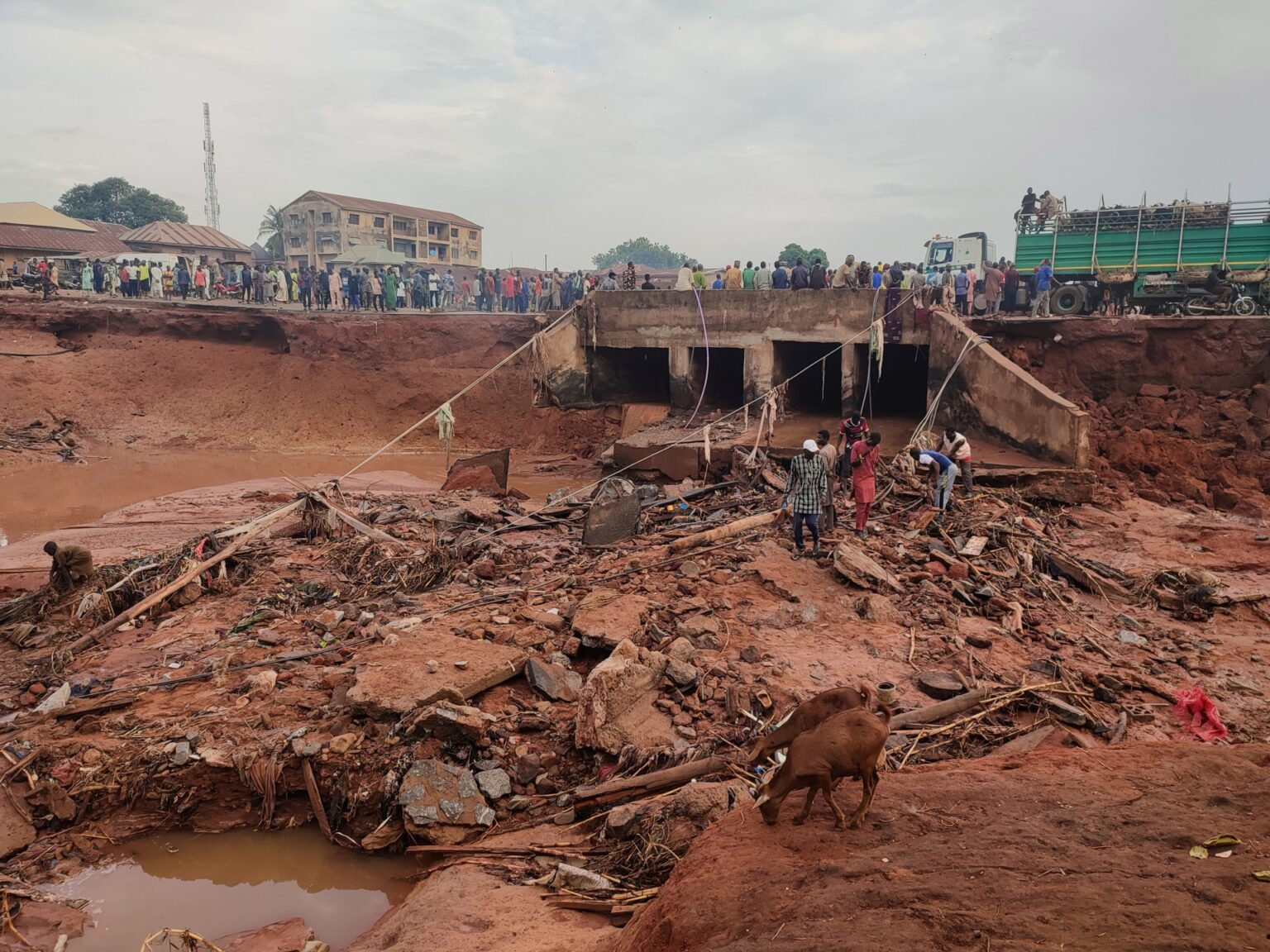 Nigeria flash floods: Which is most affected area, what caused the deluge?
