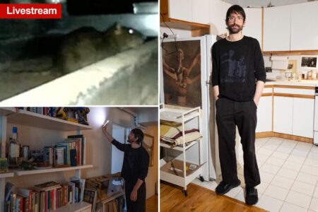 Fed-up NYC tenant creates 24/7 livestream of rats in his walls — what he sees has him losing sleep