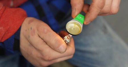 More than 2K died of opioids in Ontario last year as numbers trend downward: data