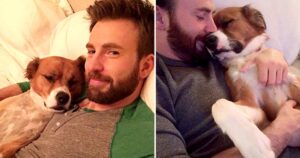 Chris Evans and His Dog Dodger: A Timeline of Their Pawsome Friendship