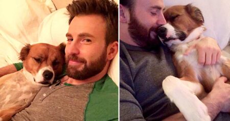 Chris Evans and His Dog Dodger: A Timeline of Their Pawsome Friendship
