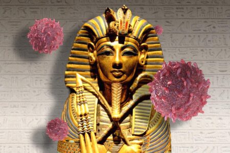 Ancient ‘pharaoh’s curse’ could be used to fight cancer: ‘It’s up to us to uncover its secrets’