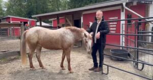 B.C. rescue organization for senior, special needs animals fundraising for new home