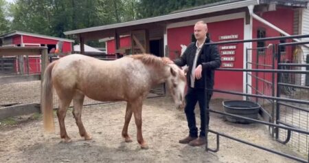 B.C. rescue organization for senior, special needs animals fundraising for new home