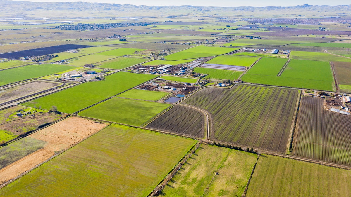 An aerial view of farmland in California's central valley.