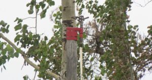 Sprinkler system outside Saskatchewan cabin staves off wildfires