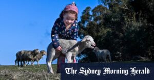 Rain settles the dust and brings hope for drought-weary farmers