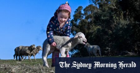 Rain settles the dust and brings hope for drought-weary farmers