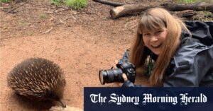 How photographer Jo Howell captures stunning wildlife shots