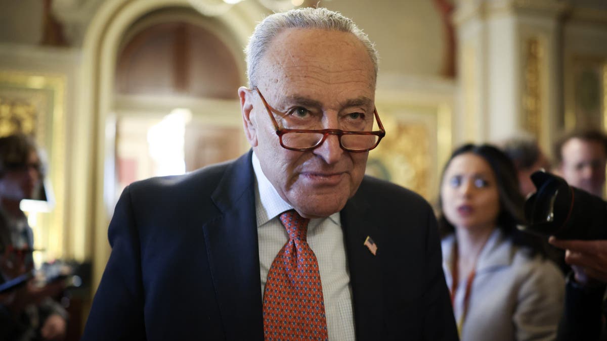 Chuck Schumer in Congress