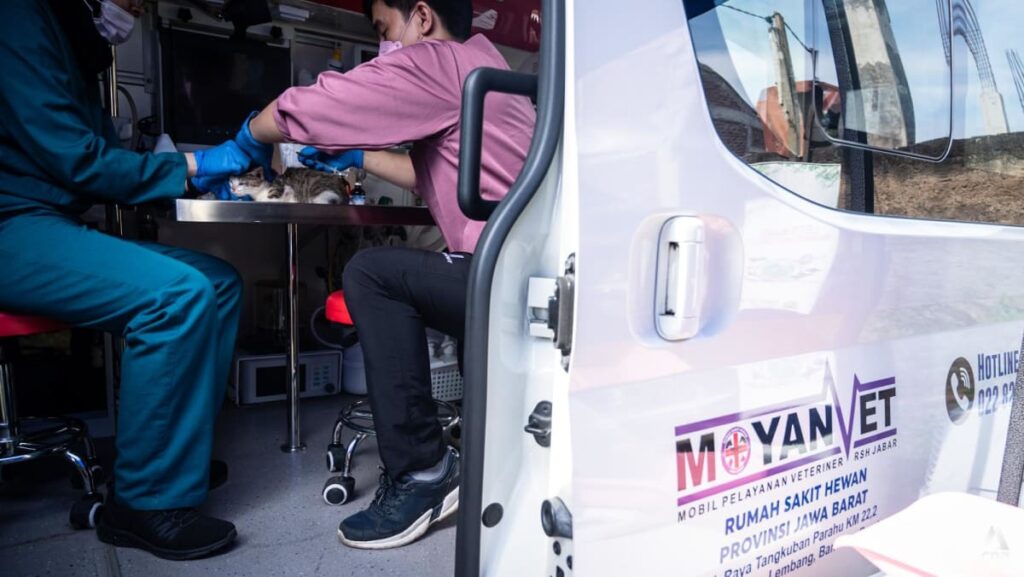 Vets on wheels: Can Jakarta’s new service address animal care challenges faced by city, pet owners?
