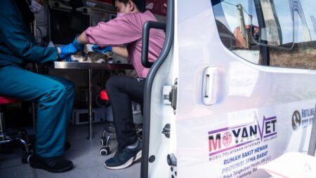 Vets on wheels: Can Jakarta’s new service address animal care challenges faced by city, pet owners?