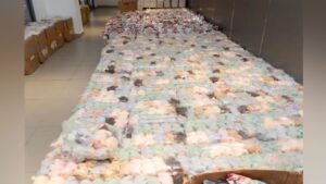Cute, coveted – and counterfeit: China seizes 46,000 fake Labubu toys as state media sound alarm
