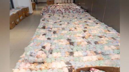 Cute, coveted – and counterfeit: China seizes 46,000 fake Labubu toys as state media sound alarm