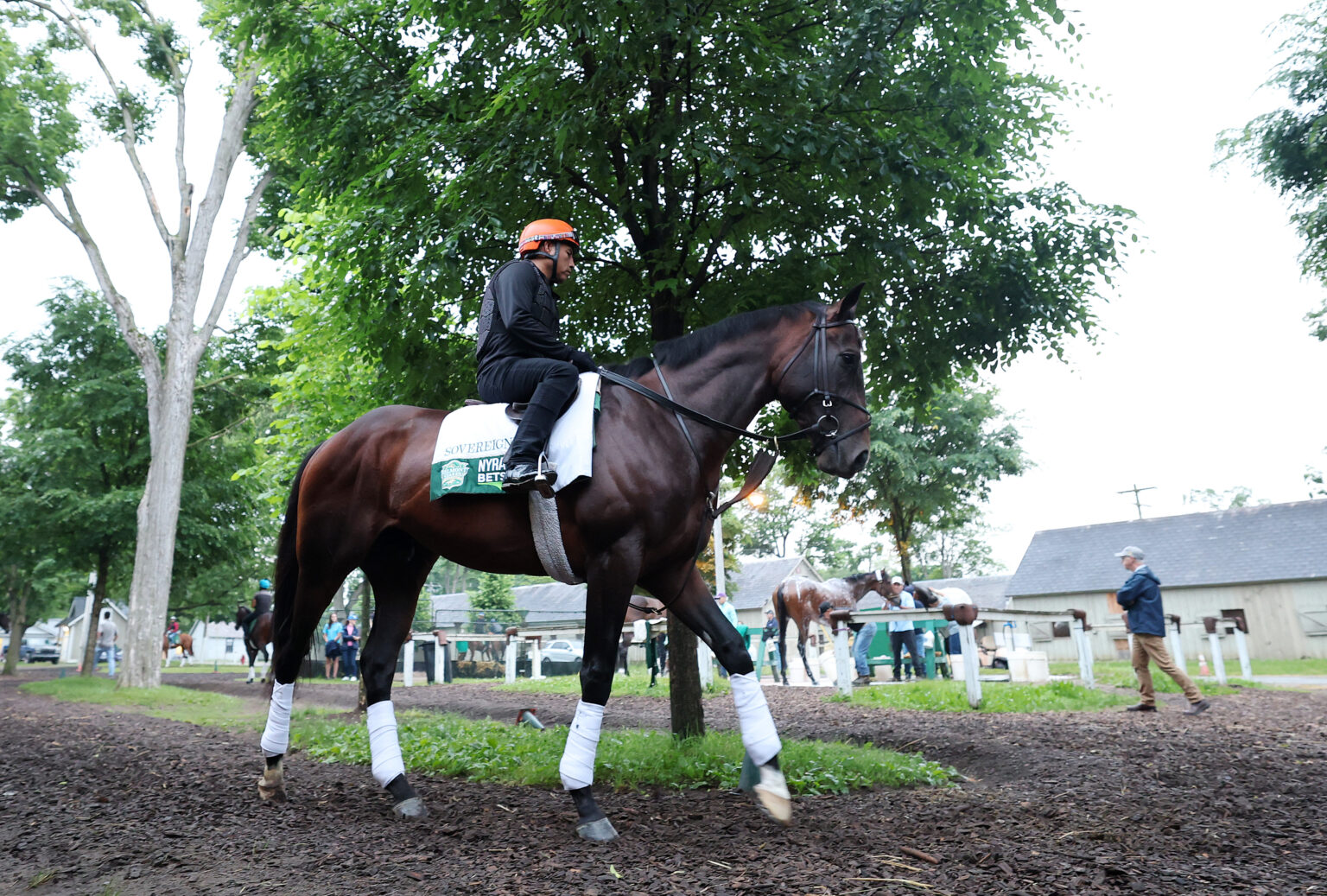 FanDuel Promo Code: Claim 0 Belmont Stakes No-Sweat Bet This Weekend