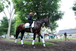 FanDuel Promo Code: Claim 0 Belmont Stakes No-Sweat Bet This Weekend