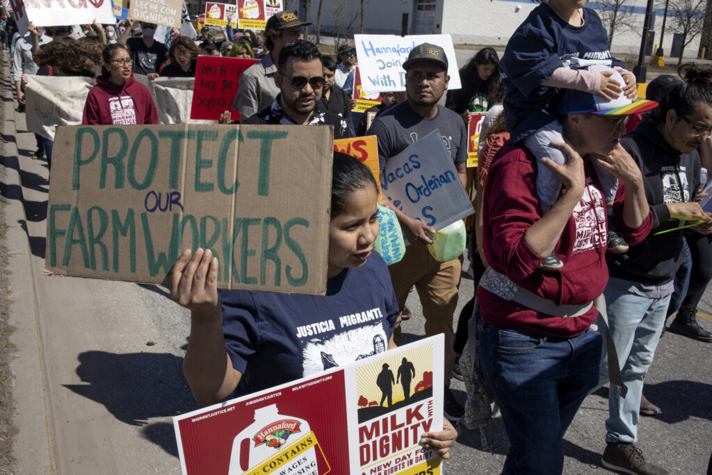 ICE Raids on US Farms Leaves Crops Rotting