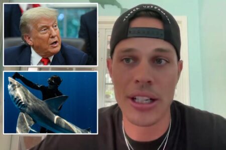 Florida diver convicted of freeing 19 sharks says he’s ‘speechless’ after getting pardon from President Trump