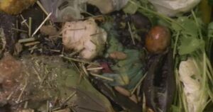 Kelowna city council turns down curbside food waste pickup program