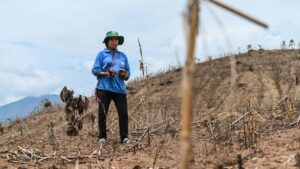 IN FOCUS: Insatiable global meat appetite leaves Thai farmland scarred, rural communities in the dust