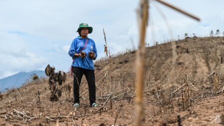 IN FOCUS: Insatiable global meat appetite leaves Thai farmland scarred, rural communities in the dust