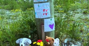 ‘His loss is immeasurable,’ family says after 3-year-old boy struck, killed by vehicle