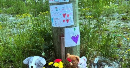‘His loss is immeasurable,’ family says after 3-year-old boy struck, killed by vehicle