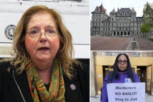 Exclusive | Lefty Albany pols pushing series of bills  to approve early parole for violent convicts, Nassau DA warns