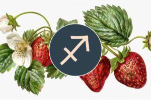 These three zodiac signs will feel the 2025 full Strawberry Moon in Sagittarius the most