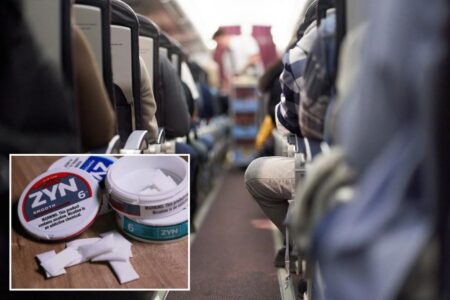 Flight attendant demands passenger spit out Zyn, leaving travelers confused about policies