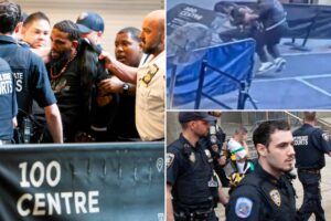 Exclusive | Knife-wielding maniac who attacked NYC court officers often targeted them: sources
