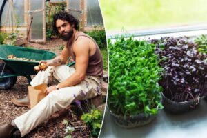 3 easy, healthy foods you can grow at home — even if you only have a window sill