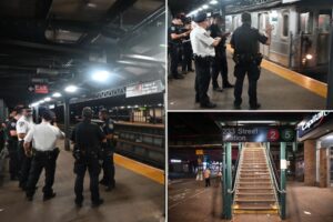 28-year-old stabbed in chest and multiple times in neck on board subway, survives: cops